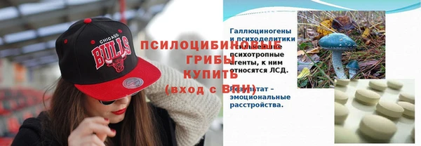 прущий лед Михайлов