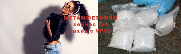 индика Михайловск
