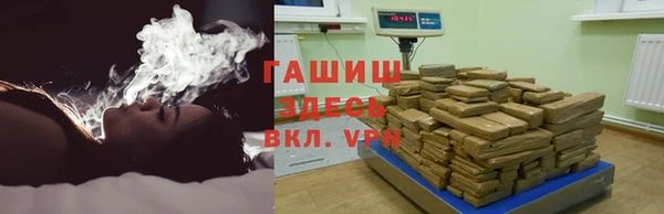 индика Михайловск
