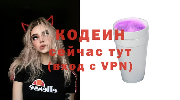 индика Михайловск