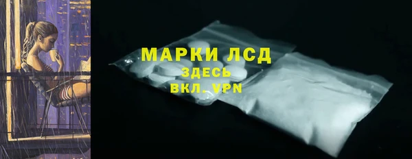индика Михайловск