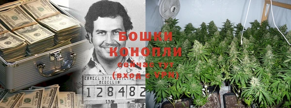 индика Михайловск