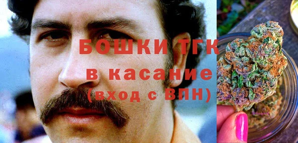 индика Михайловск