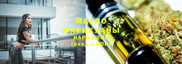 индика Михайловск